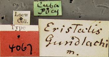 Media type: image;   Entomology 4067 Aspect: labels